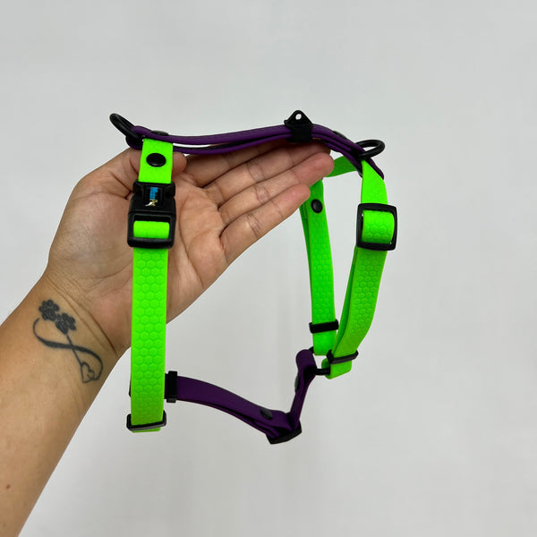 Arnés H S/M 1.6cmColección Halloween - SALE