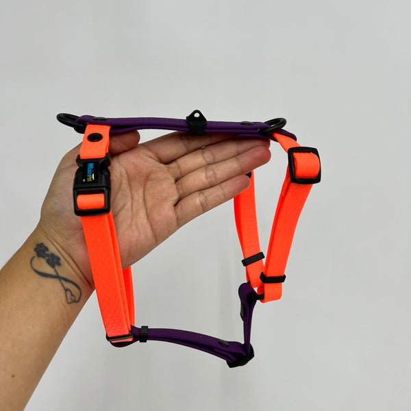 Arnés H S/M 1.6cmColección Halloween - SALE