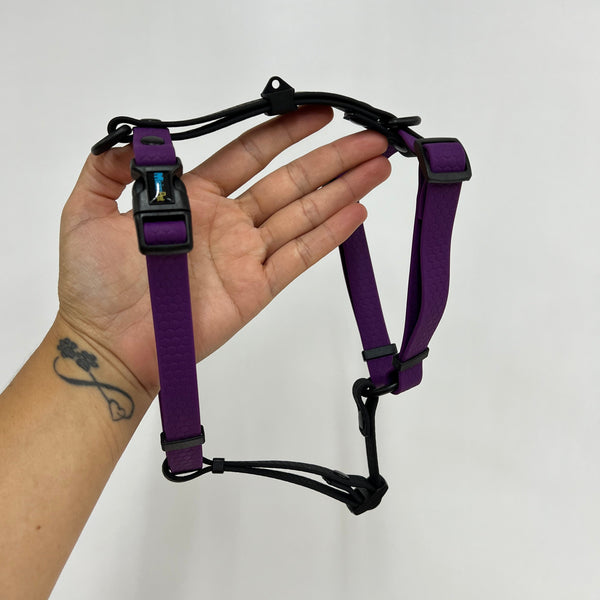 Arnés H S/M 1.6cmColección Halloween - SALE