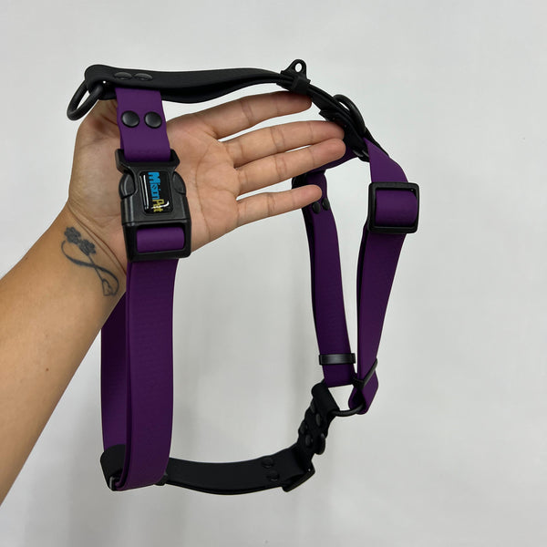 Arnés H M/L 2.5cmColección Halloween - SALE