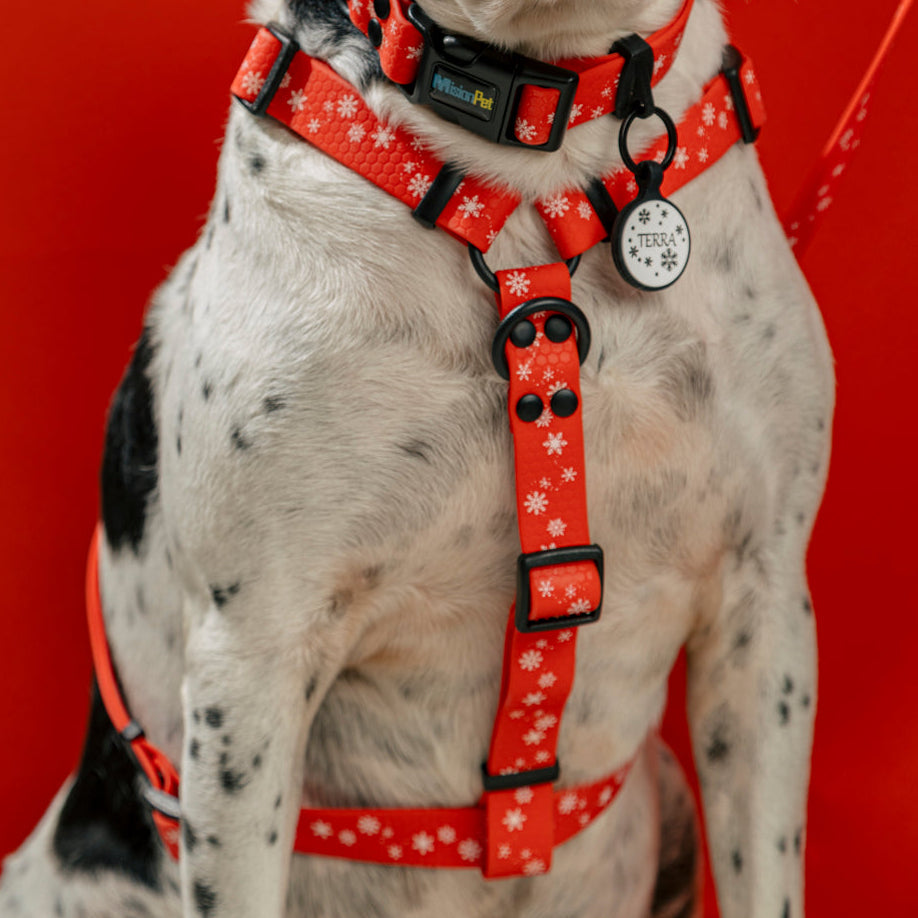 Arnes en H rojo con copitos para perros medianos y grandes