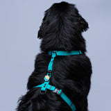 Arnes en H turquesa para perros extragrande