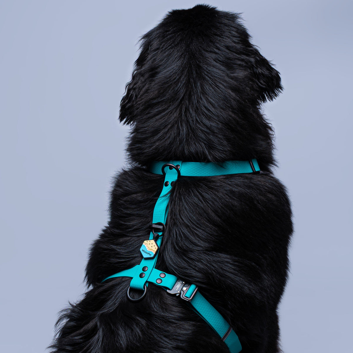 Arnes en H turquesa para perros extragrande