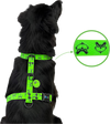 Arnes en H verde grinch para perros medianos y grandes