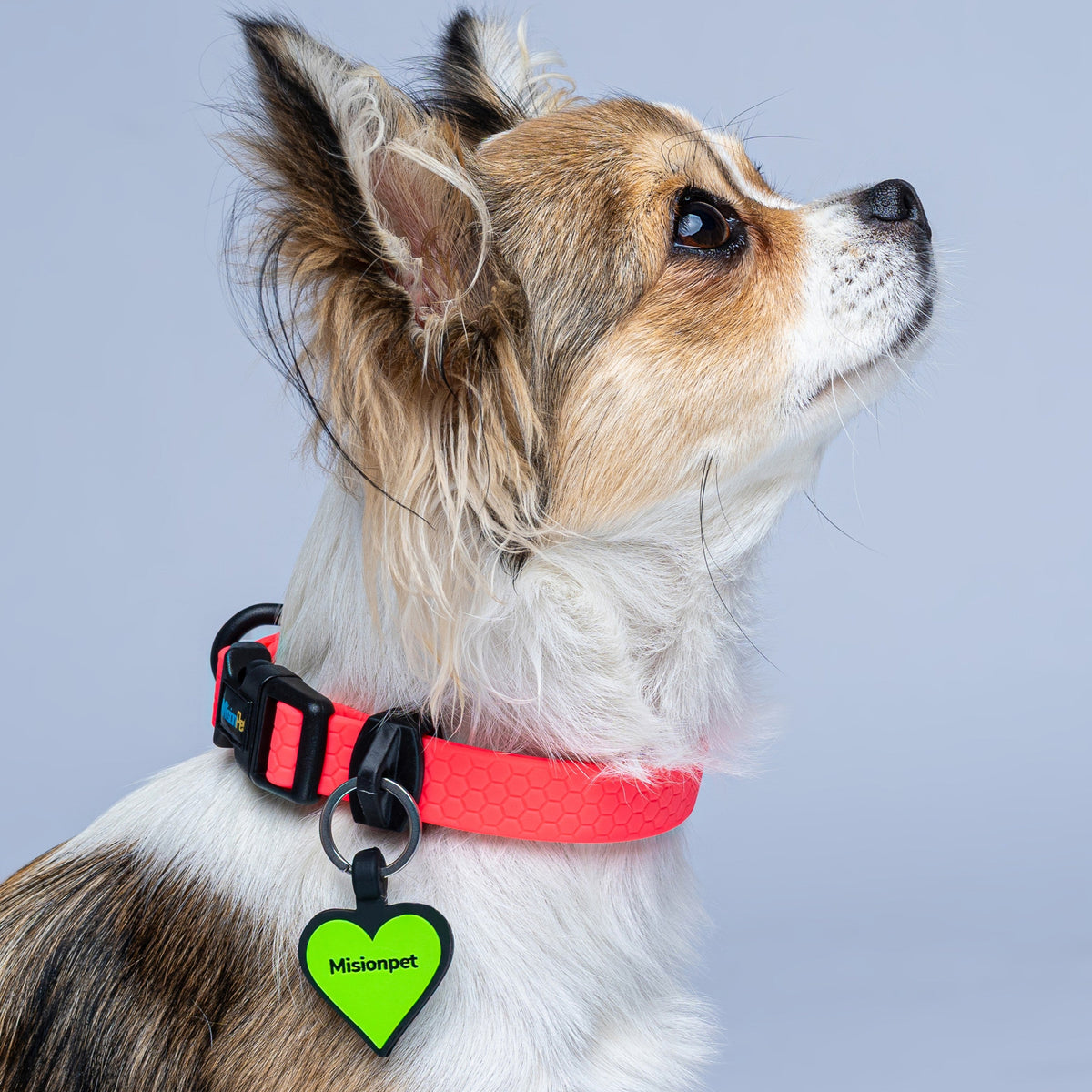 Collar ligero para perros pequeños color salmon