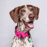 Collar martingale color fucsia para perros pequeños