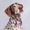 Collar martingale color lavanda para perros medianos y grandes