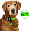 Collar edicion navidad verde grinch para perros medianos y grandes