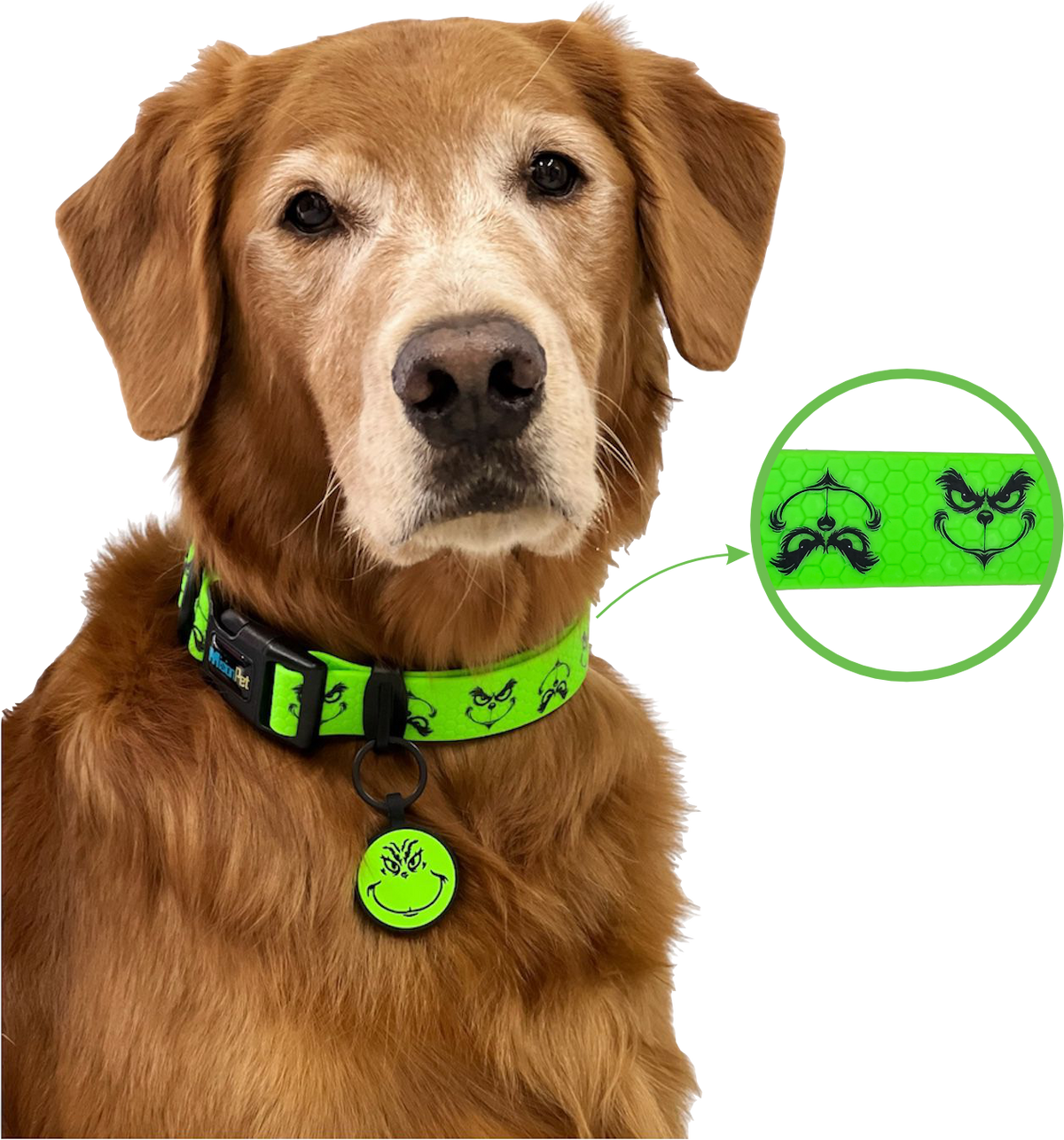 Collar Halloween (Medianos y Grandes)