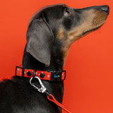 Collar edicion navidad rojo con copitos para perros pequeñs