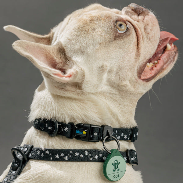 Collar (Pequeños) Navidad