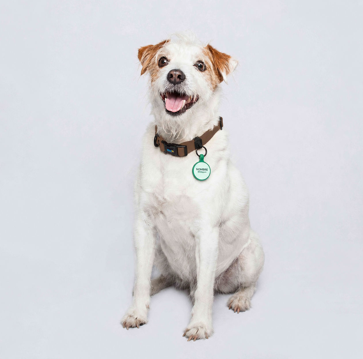 Collar (Pequeños)