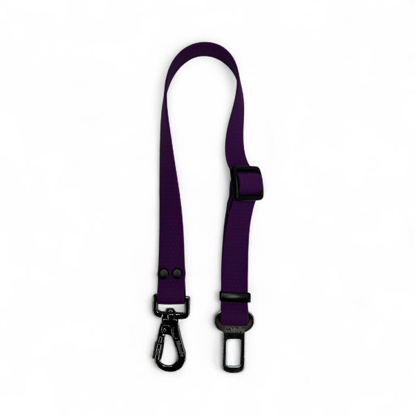 Correa de Seguridad en Carro para mascotas