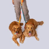 Correa de extension para paseo de mascotas ideal para pasear dos perros