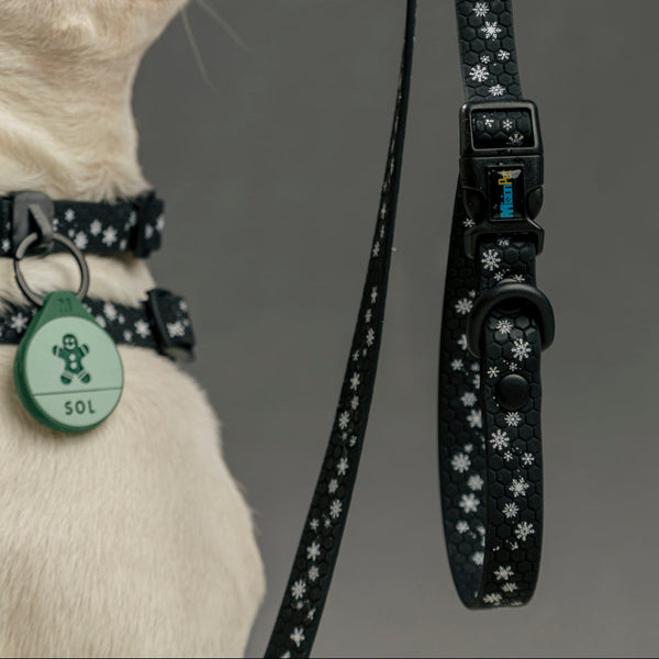 Correa Estándar (Pequeños) Navidad