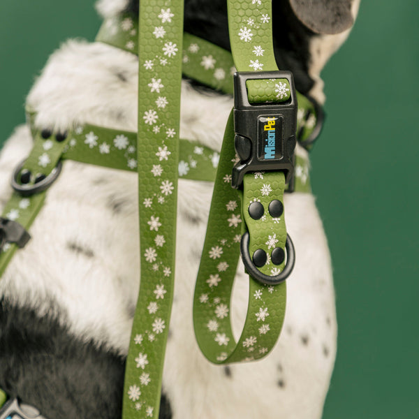 Correa Estándar (Medianos y Grandes) Navidad
