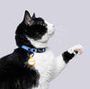 Collar Gatos