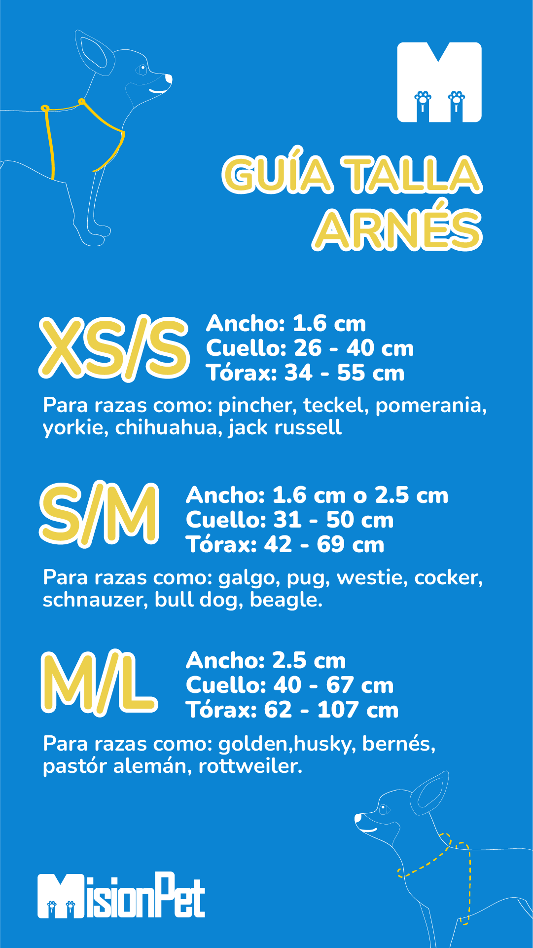 Guía de Tallas