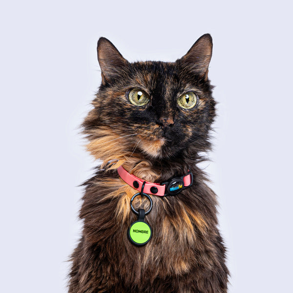 Collar Gatos