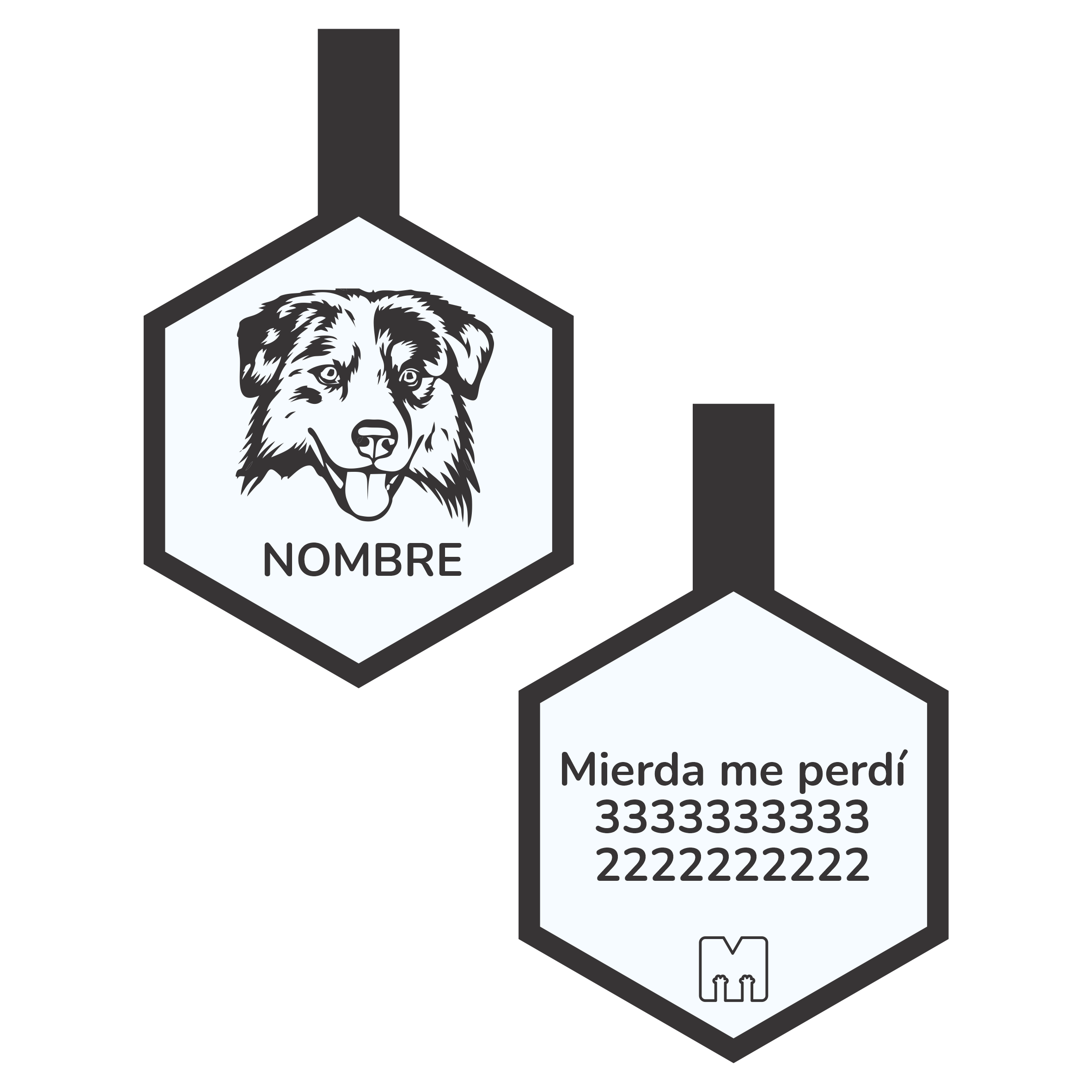 Hexágonos Siluetas Razas