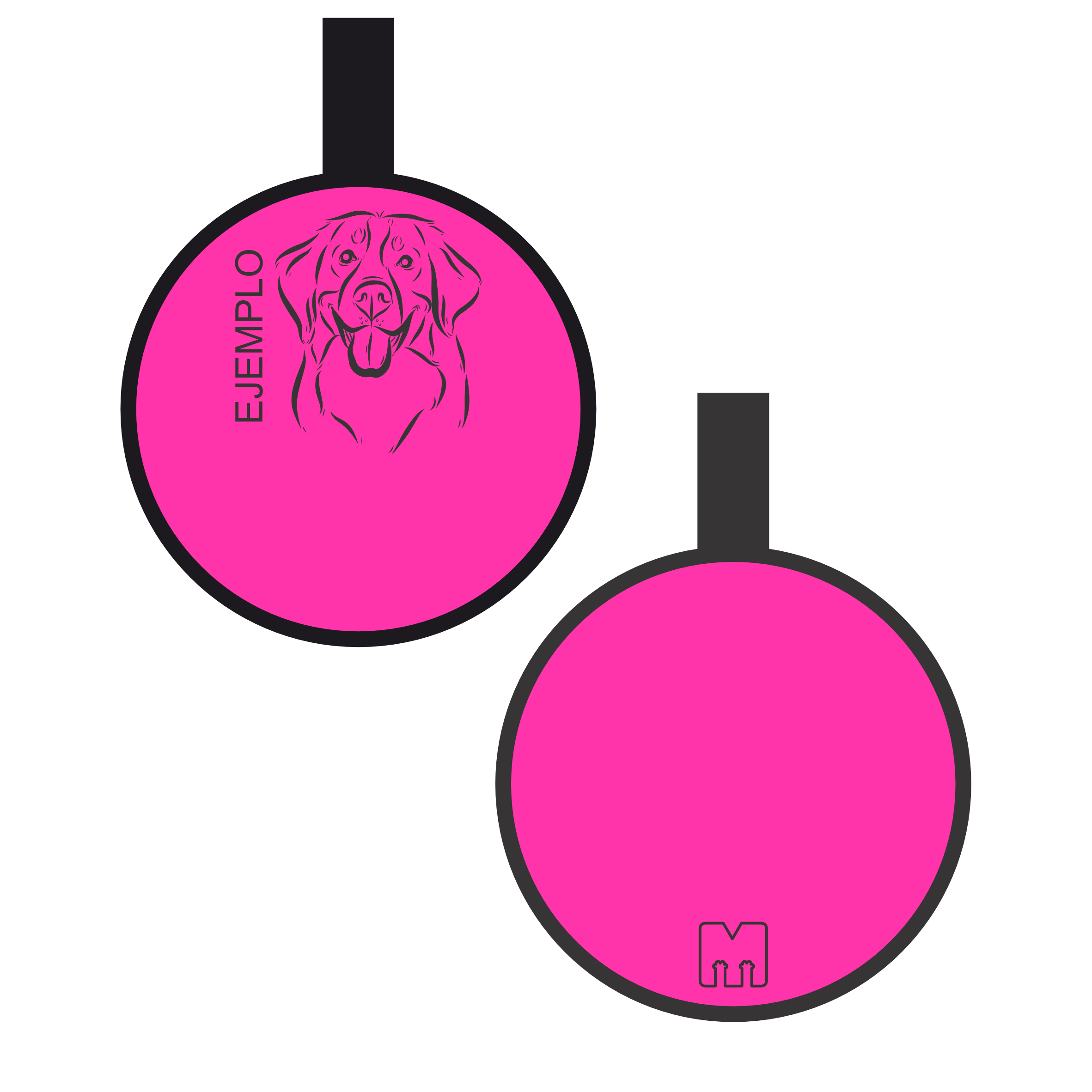 Placa con ilustración Circulo