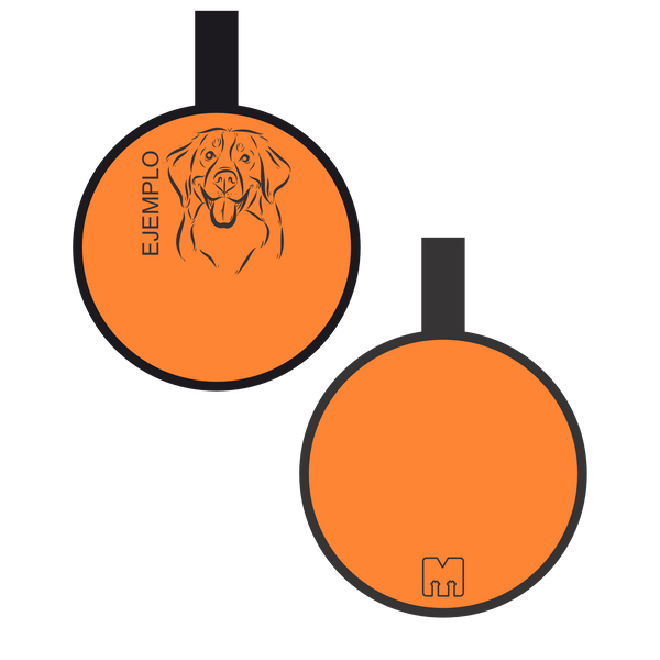 Placa con ilustración Circulo