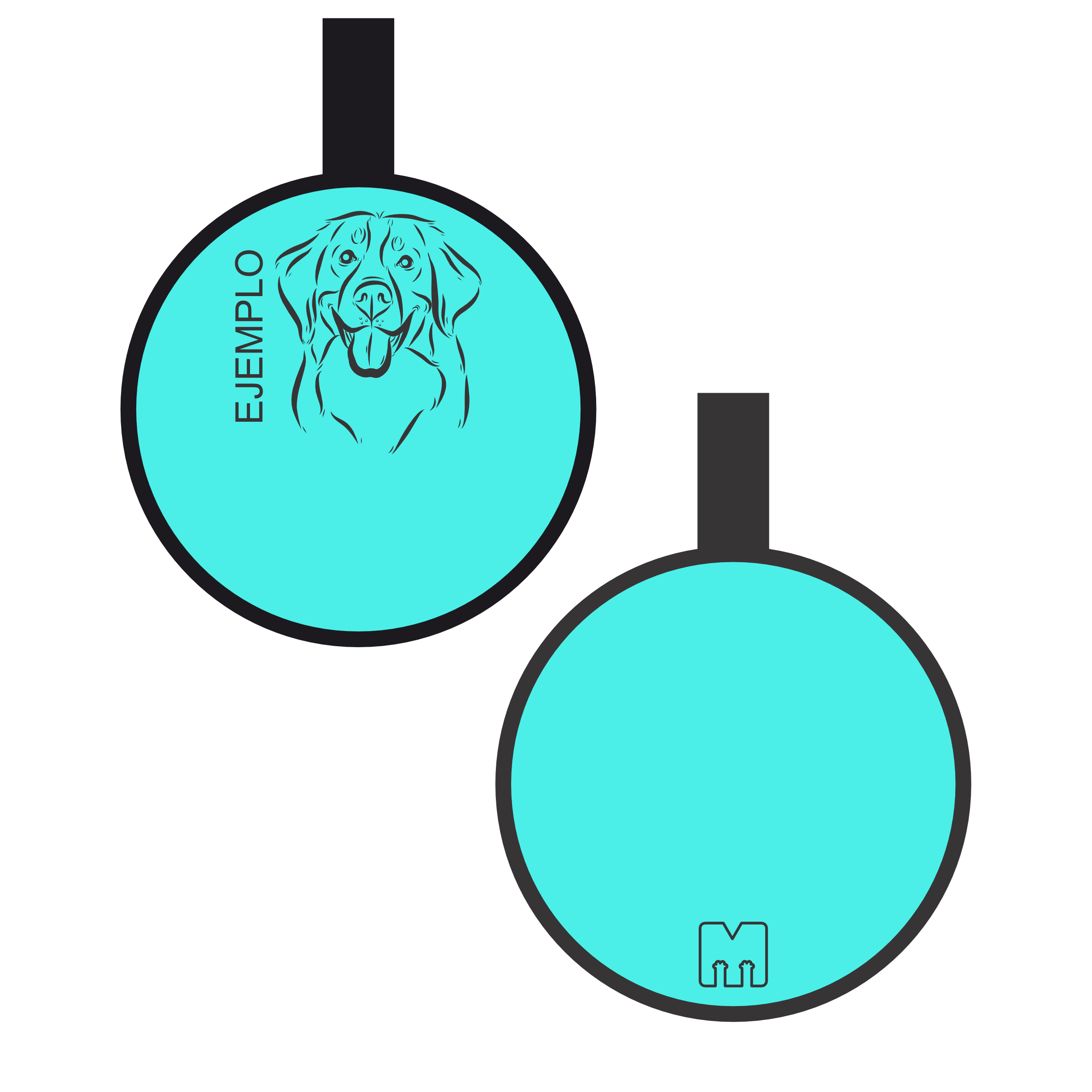 Placa con ilustración Circulo