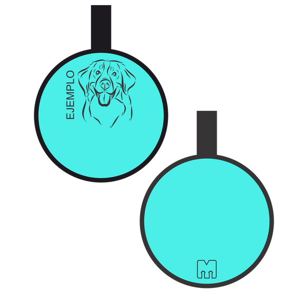 Placa con ilustración Circulo