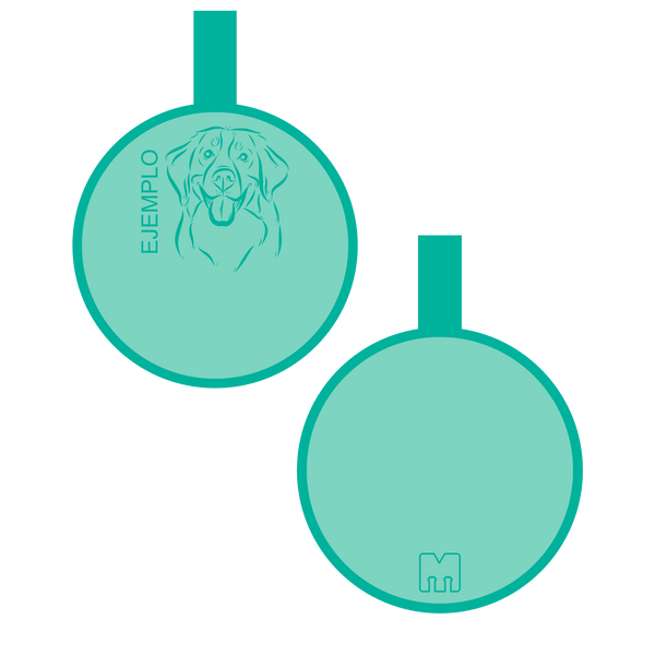 Placa con ilustración Circulo