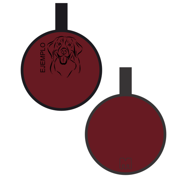 Placa con ilustración Circulo