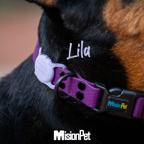 Porta Airtag <b>Con Tapa</b>