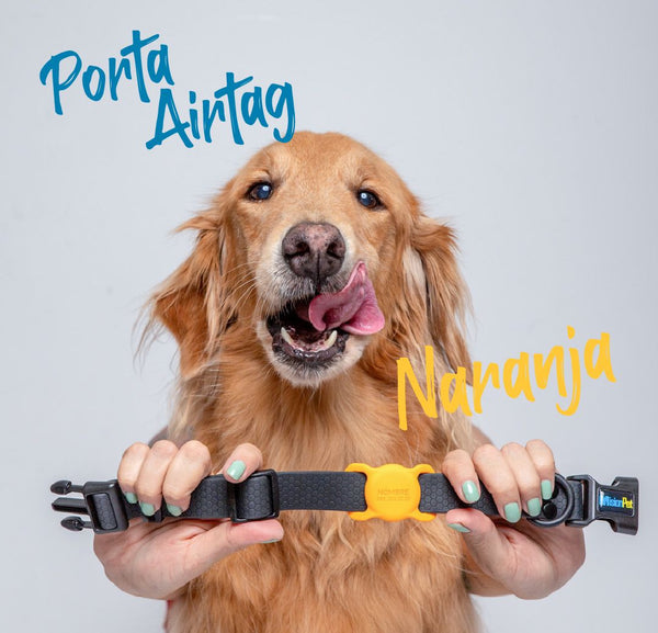 Porta Airtag <b>Con Tapa</b>