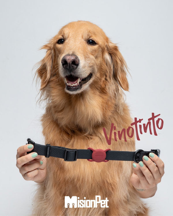 Porta Airtag <b>Con Tapa</b>