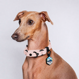 Collar Martingale (Pequeños) <b>Colores Pastel</b>