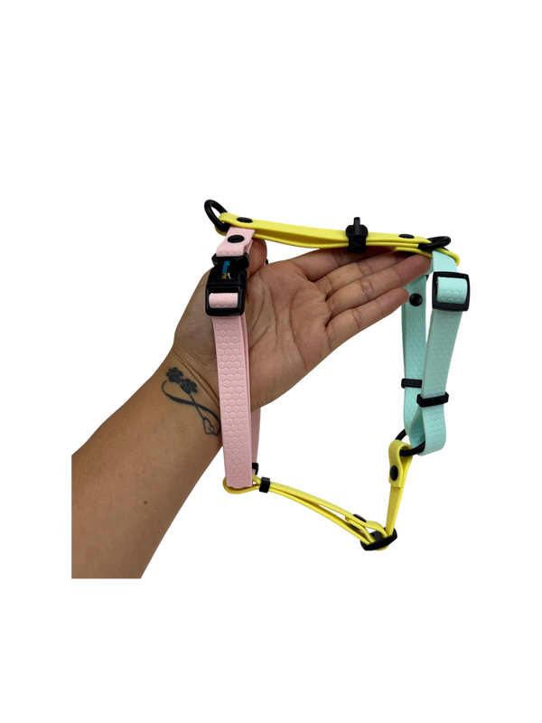 Arnés H POP ART 1.6cm