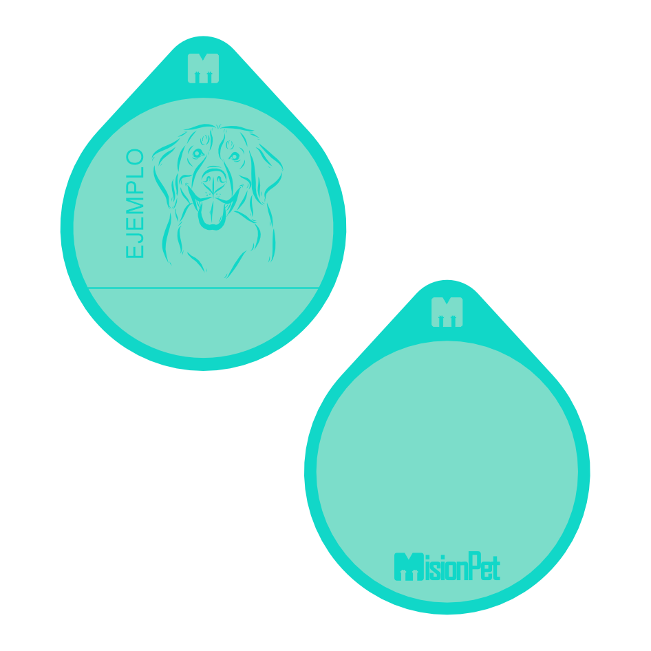 Placa de identificacion personalizable para mascotas color turquesa