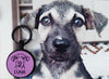 Placa de identificacion para mascotas con ilustracion personalizada en forma de circulo