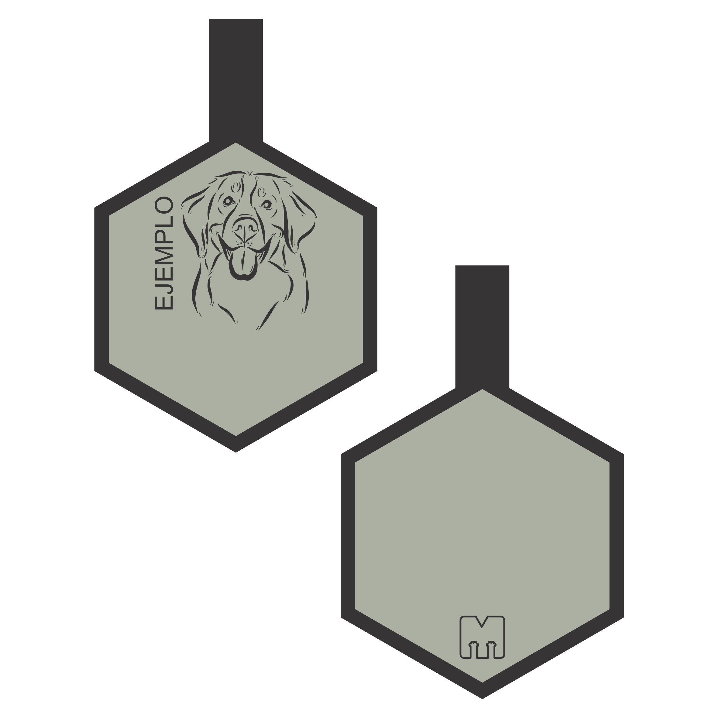 Placa de identificacion para mascotas gris con ilustracion personalizada en forma de hexagono