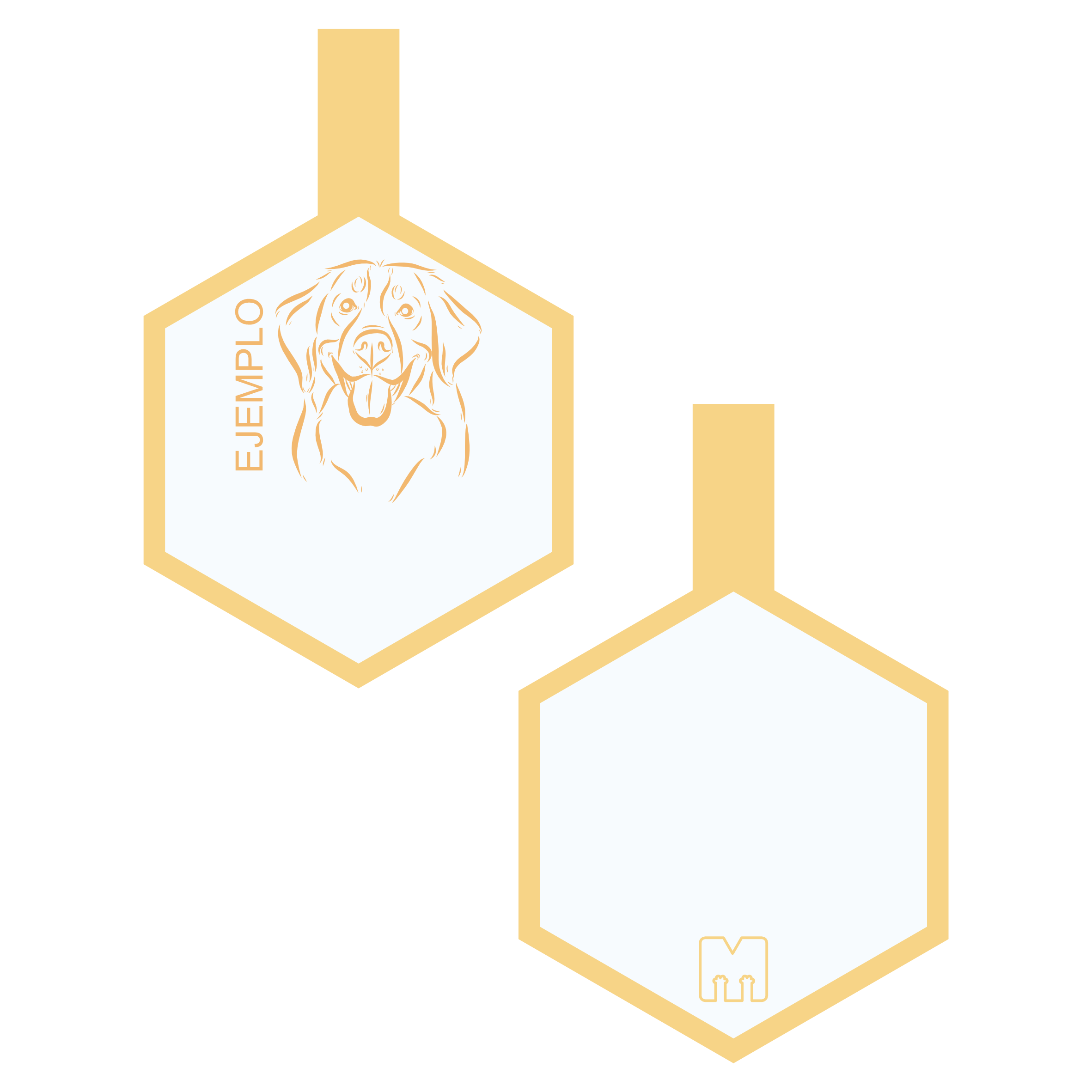 Placa de identificacion para mascotas naranja con ilustracion personalizada en forma de hexagono