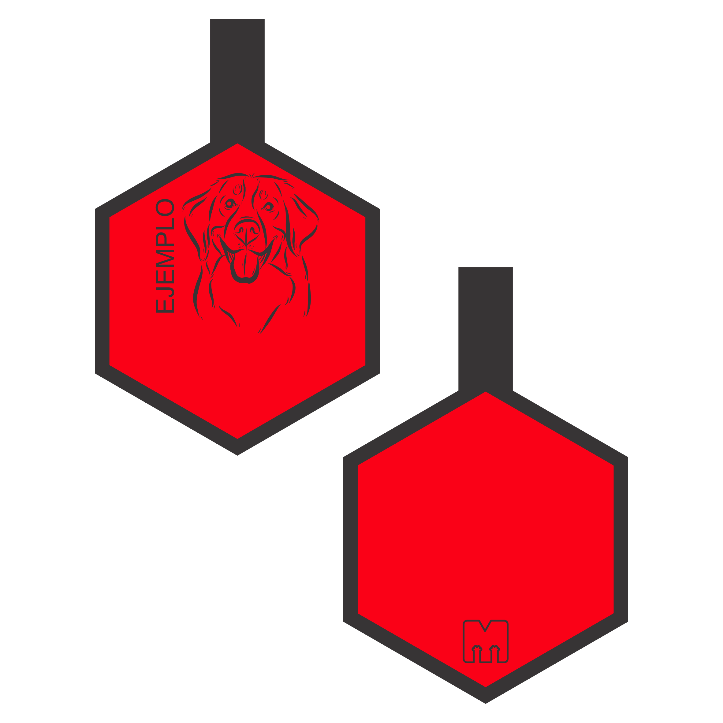 Placa de identificacion para mascotas roja con ilustracion personalizada en forma de hexagono