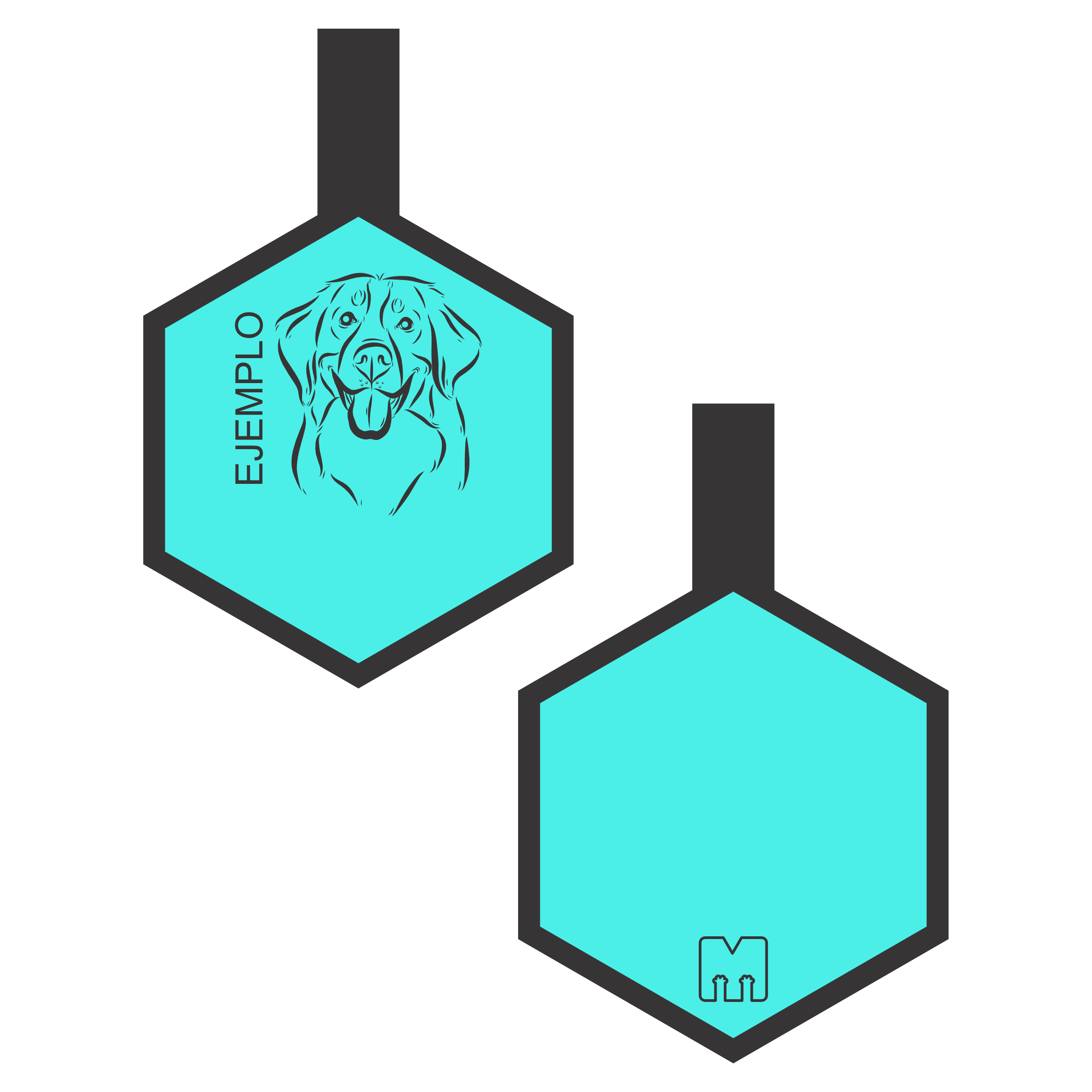 Placa de identificacion para mascotas turquesa con ilustracion personalizada en forma de hexagono