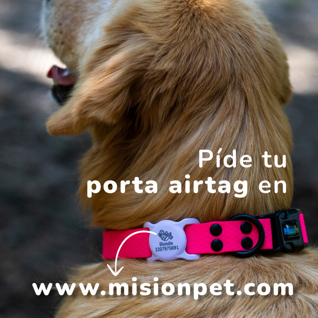 Porta Airtag con tapa para mascota personalizable en diferentes colores