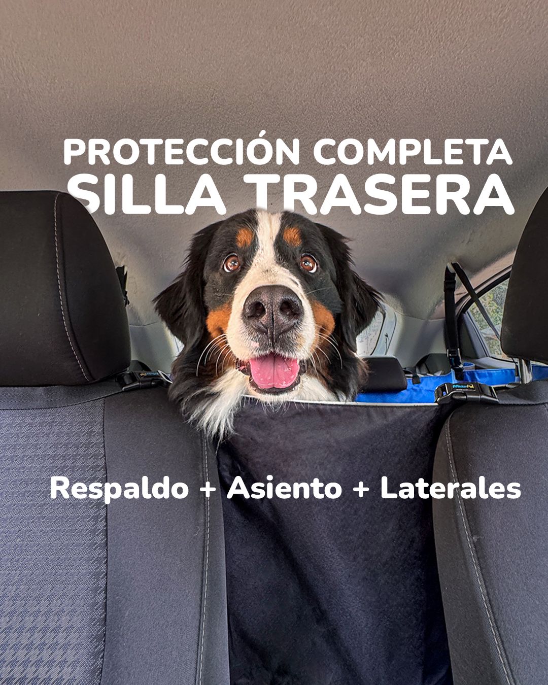 Protector laterales completos para la silla del carro antirasguños