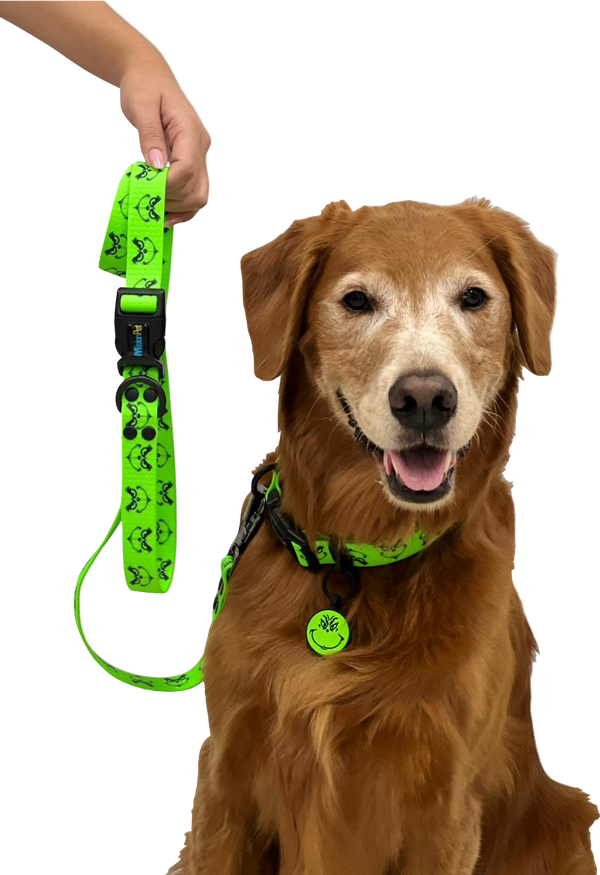 Correa Estándar (Medianos y Grandes) Navidad