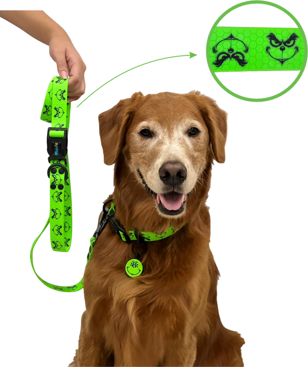 Correa Estándar (Medianos y Grandes) Navidad