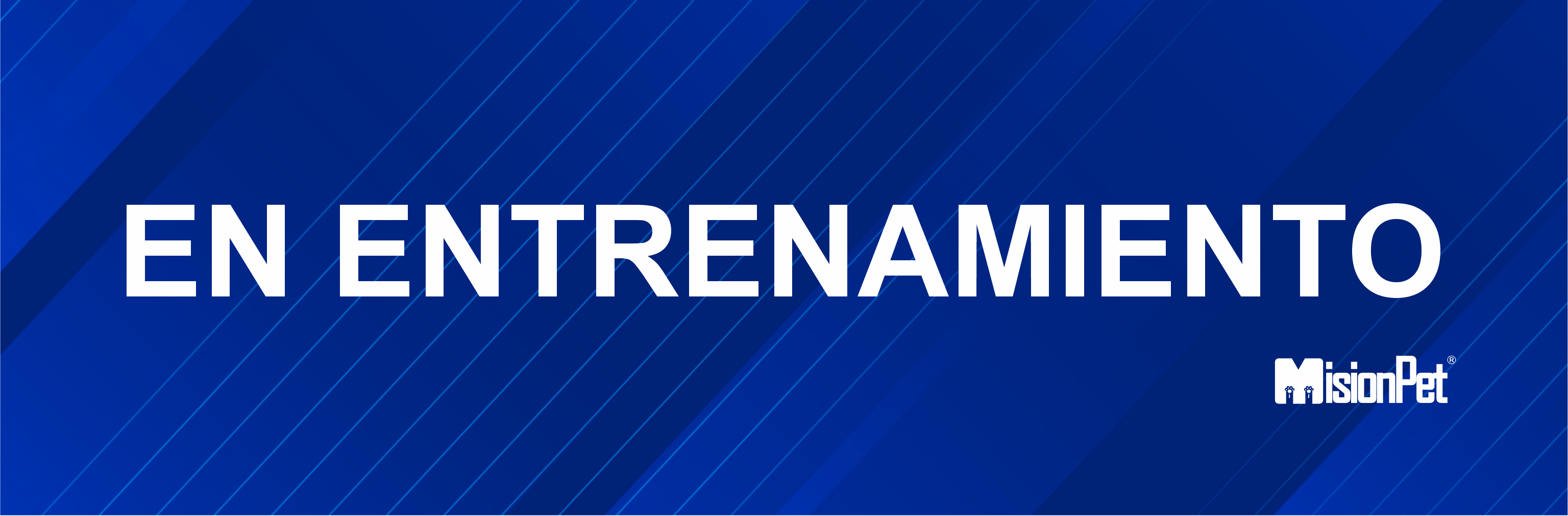 Tag de correa indicador de comportamiento en entrenamiento