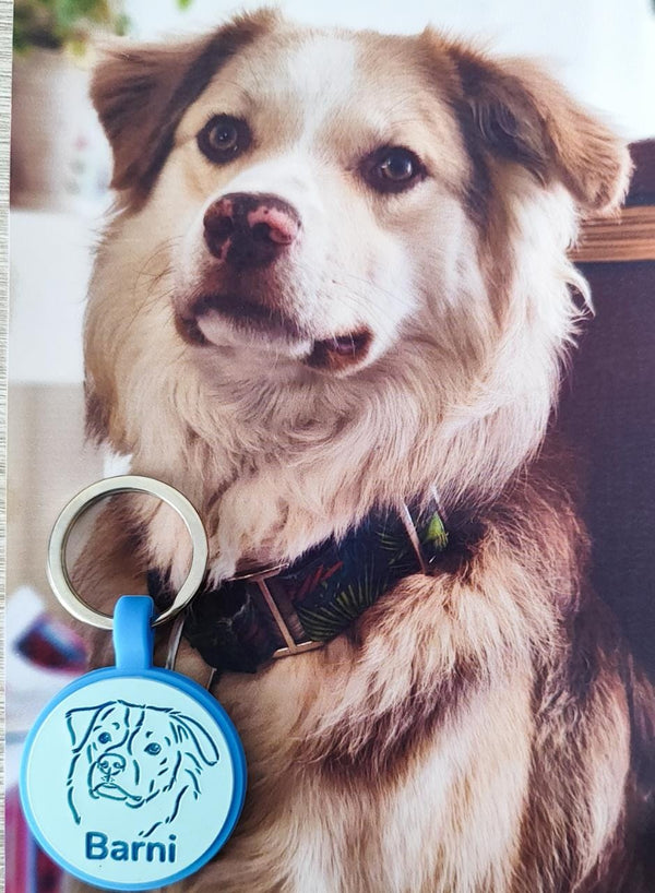 Placa con Ilustración personalizada