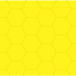 Correa entrenamiento <b>ancho 2.5 cm</b>