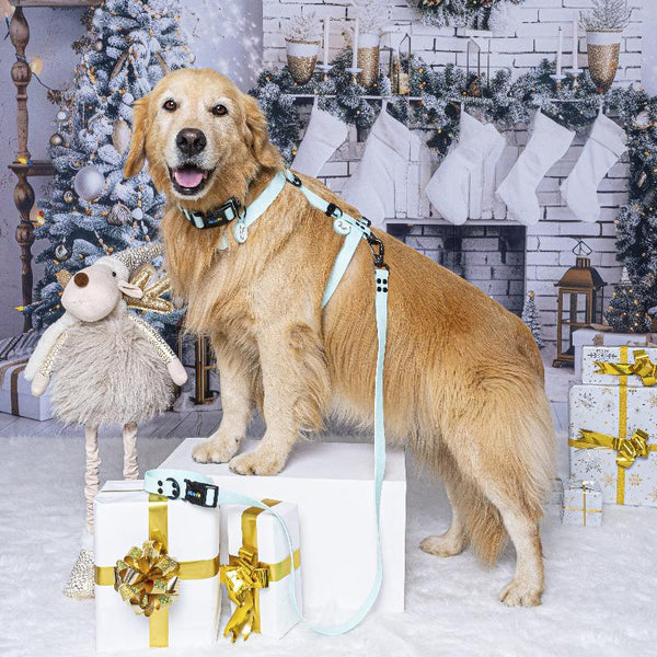 Arnés H (Pequeños) Navidad