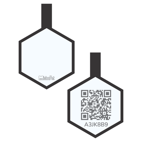 Hexágono Inteligente